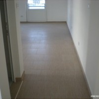 DSCN9185_thumb.JPG